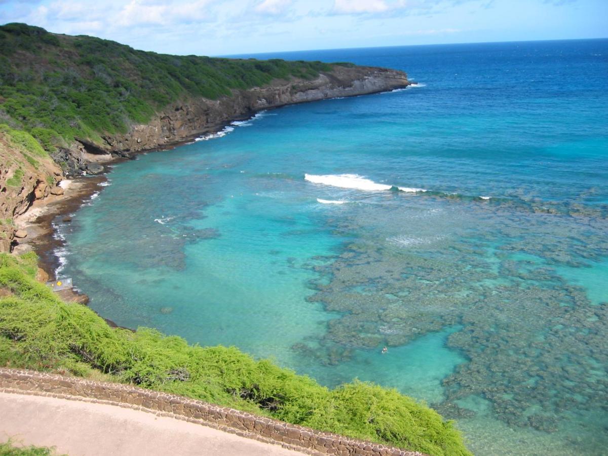 Free Parking, Pool, Sauna, Spa, Wifi, Bbq, Ac - Waikiki Banyan Honolulu Exterior foto